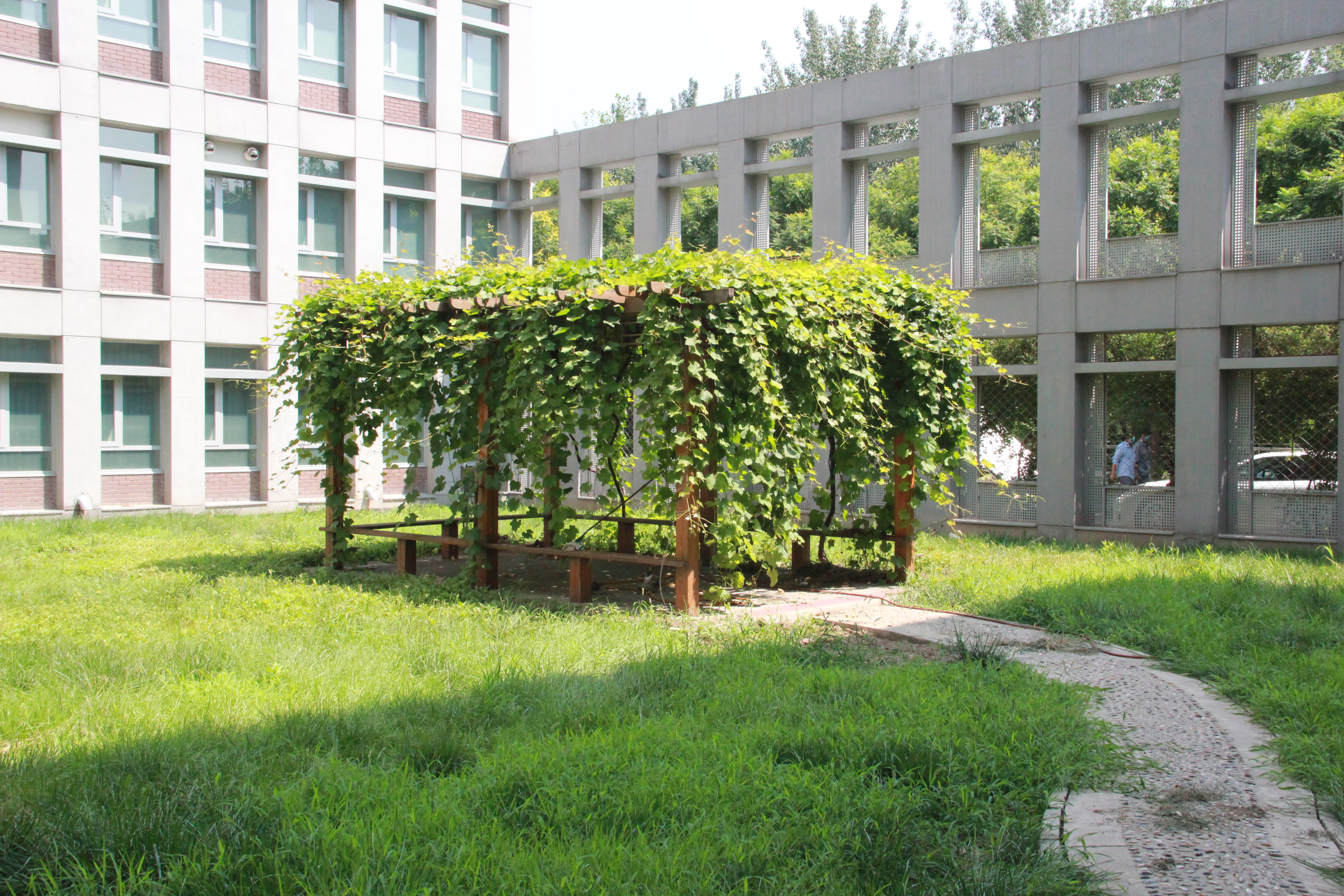 微信图片_20200804101554.jpg