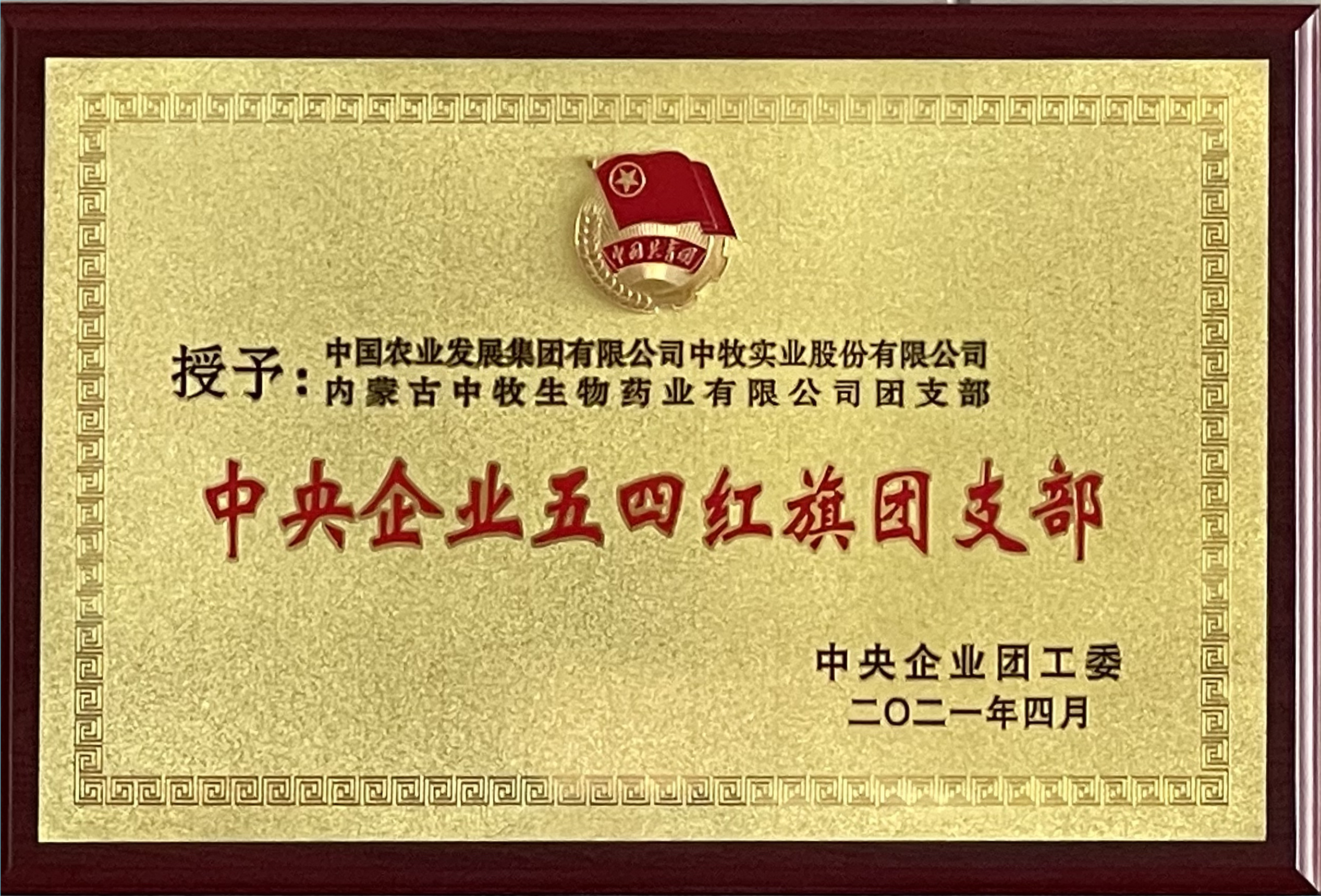 中央企业五四红旗团支部.jpg