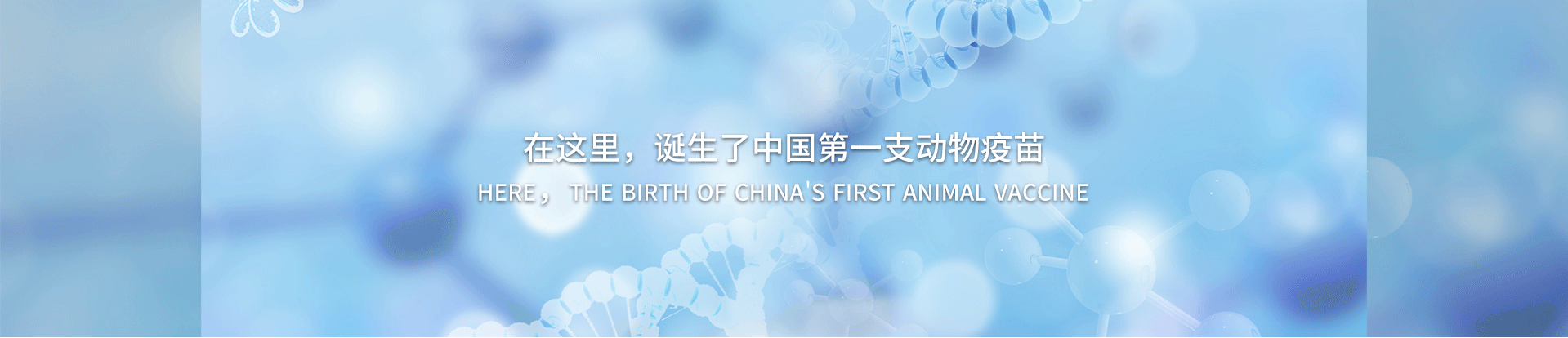 中牧动物营养