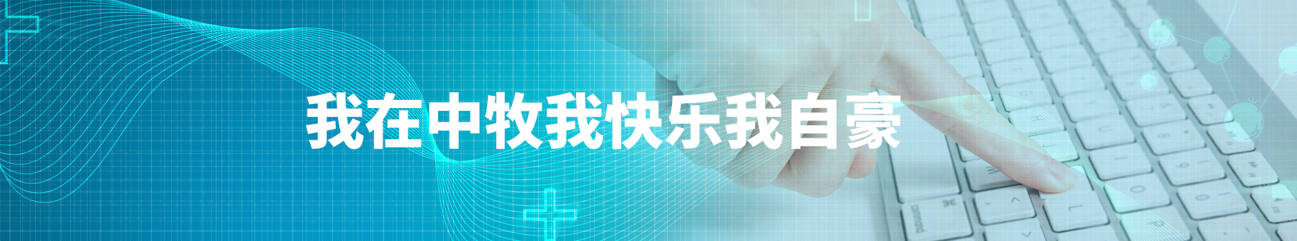 人力资源
