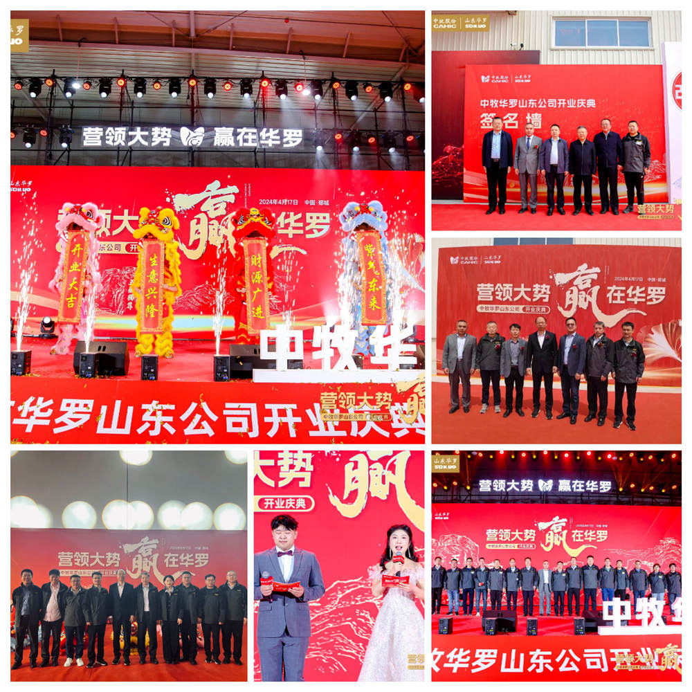 大团园_副本.jpg