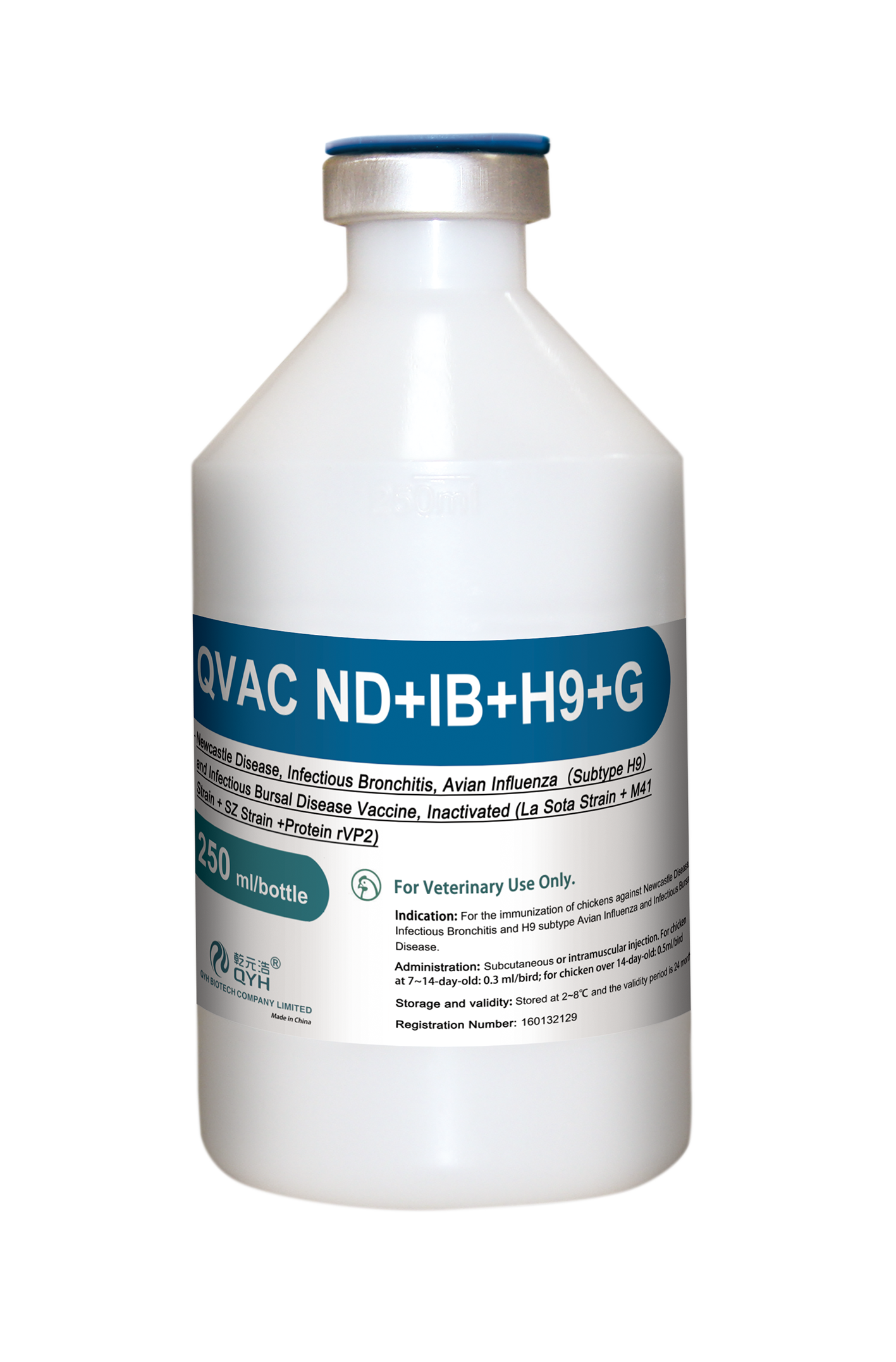 QVAC ND+IB+H9+G